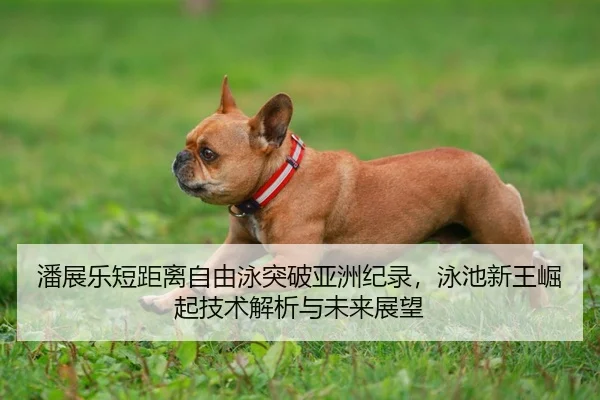 pan-zhan-le-duan-ju-li-zi-you-yong-tu-po-ya-zhou-ji-lu-yong-chi-xin-wang-jue-qi-ji-shu-jie-xi-yu-wei-lai-zhan-wang-1-318.jpg