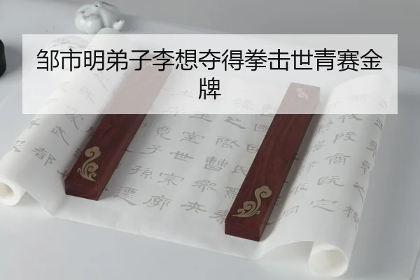 zou-shi-ming-di-zi-li-xiang-duo-de-quan-ji-shi-qing-sai-jin-pai-3-621.jpg